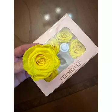Бутоны розы "Canary Yellow" (Tiffany)
