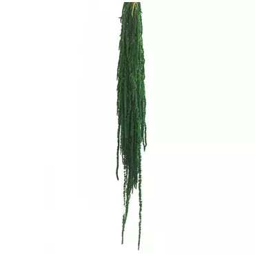 Ветви Амаранта "Verde"