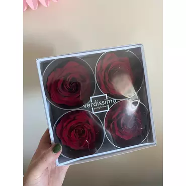 Бутоны розы "Cranberry" (Premium)