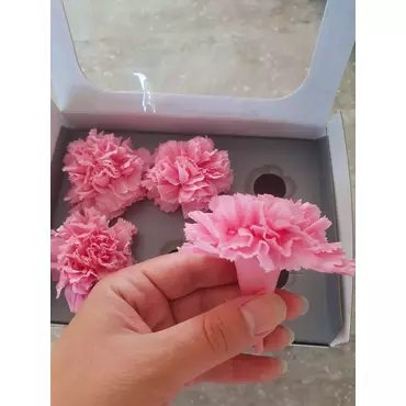 Бутоны гвоздики Bicolor "Pastel Pink/White" (Carnation)