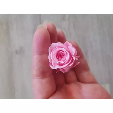 Бутоны розы "Dark Pink" (Princess)