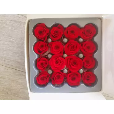 Бутоны розы "Red" (Princess)