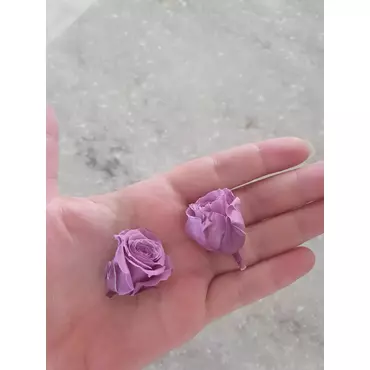 Бутоны розы "Lilac" (Princess)