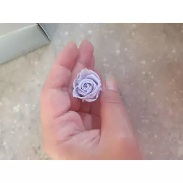 Бутоны розы "Cool Lavender" (Super Petite)
