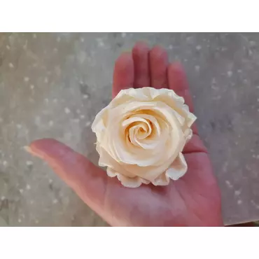 Бутоны розы "Pure White" (Super Rose)