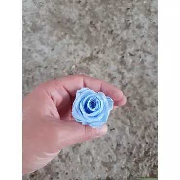 Бутоны розы "Baby Blue" (Petite)