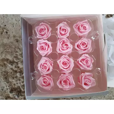 Бутоны розы "Pink Blush" (Super Petite)