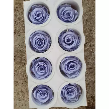 Бутоны розы "Cool Lavender" (Super Rose)