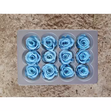Бутоны розы "Dark Blue" (Mini)
