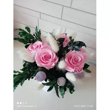 Бутоны розы "Bright Pink" (Standard)