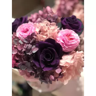 Бутоны розы "Purple" (Mini)