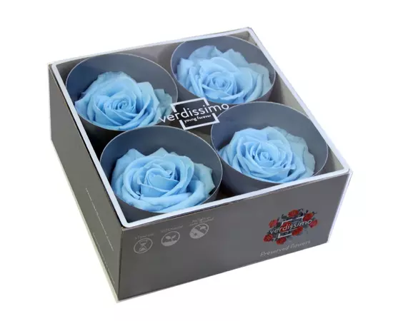 Бутоны розы "Light Blue" (Premium)