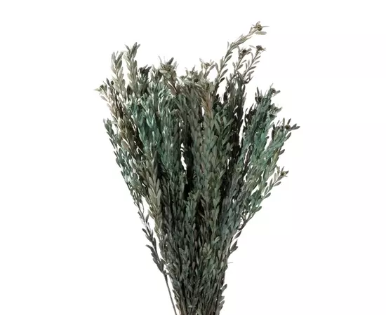 Пубесинс стабилизированный "Pubescens Sage Green"