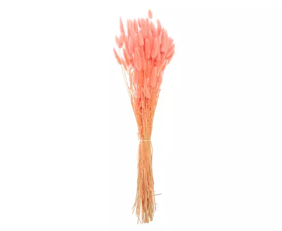 Лагурус розовый "Pink" 100 гр