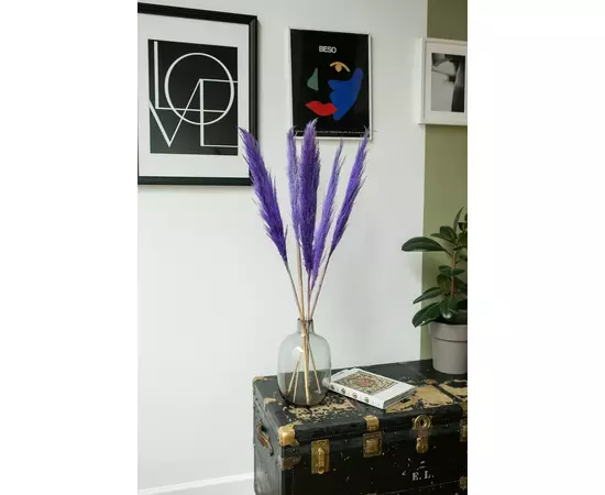Пампасная трава "Purple" 5 стеблей 110-120 см