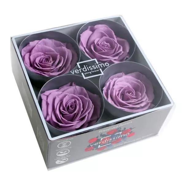 Бутоны розы "Lilac" (Premium)