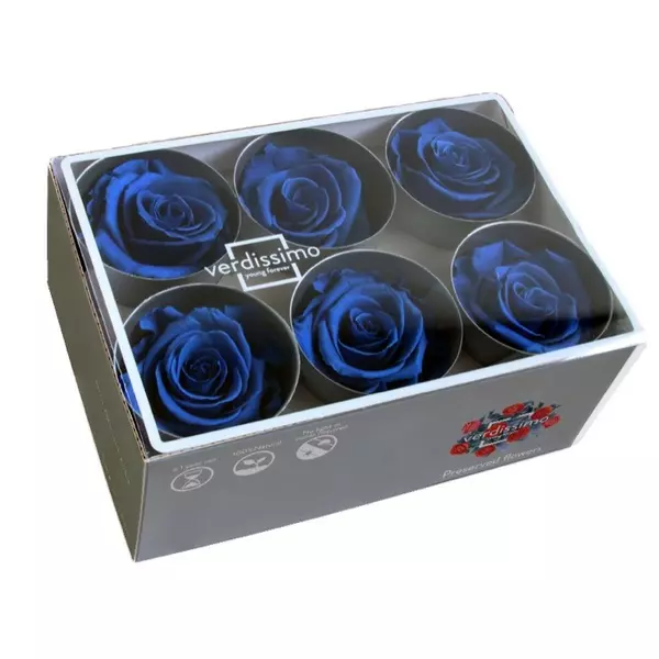 Бутоны розы "Dark Blue" (Standard)
