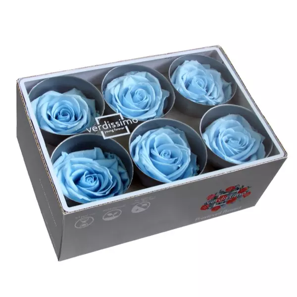 Бутоны розы "Light Blue" (Standard)