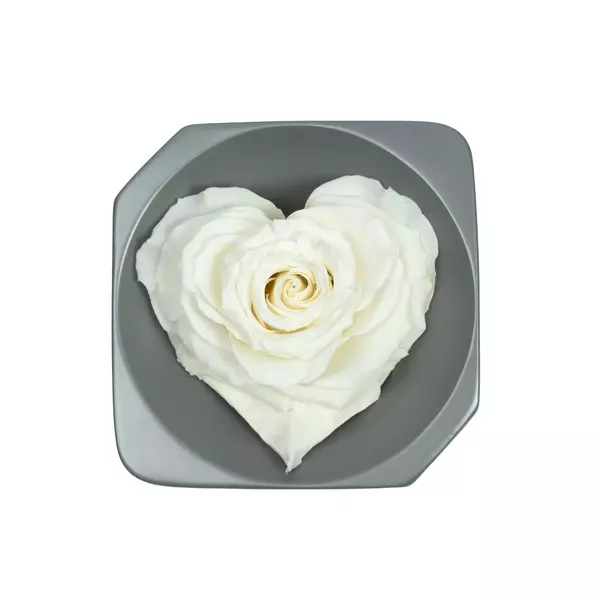 Бутон розы в форме сердца "White"
