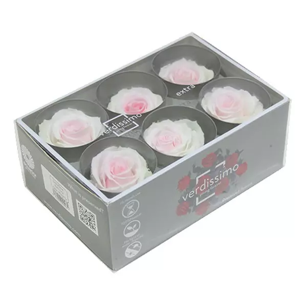 Стабилизированные бутоны розы (Extra) tricolor