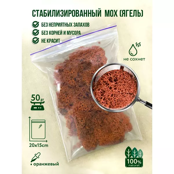 Мох стабилизированный (ягель) 50 г (Orange)