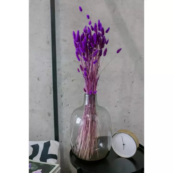 Лагурус пурпурный "Purple" 100 гр
