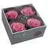 Бутоны розы "Bright Lilac" (Premium)