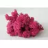 Стабилизированный мох "Lichen" Dark Pink 5кг