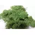 Стабилизированный мох "Lichen" Red 5кг