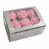 Бутоны гвоздики bicolor "Pastel Pink/White" (Carnation)