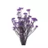 Озотамнус "Helychrisium Diosmifolium Natural" (Lilac)