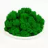 Стабилизированный мох (ягель) 0.5 кг (ярко-зеленый)