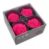 Бутоны розы "Dark Pink" (Premium)