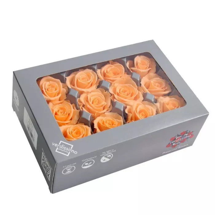Бутоны розы "Peach" (Mini)