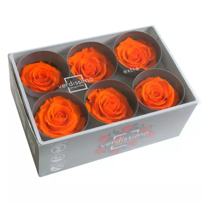 Бутоны розы "Orange" (Extra)