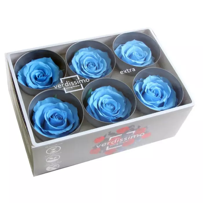 Бутоны розы "Light Blue" (Extra)