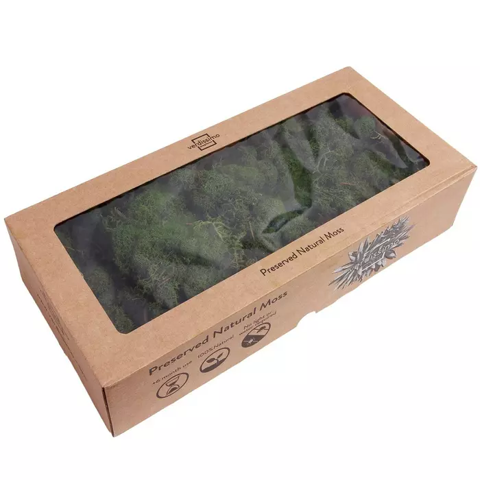 Стабилизированный мох "Lichen" Green 0.5кг
