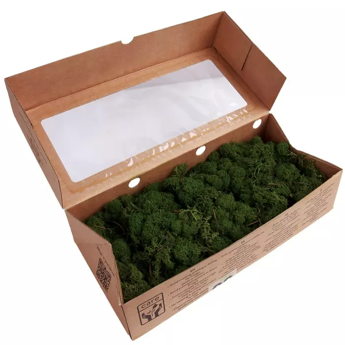 Стабилизированный мох "Lichen" Green 0.5кг