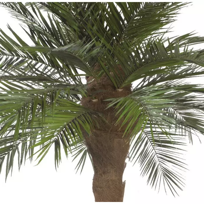 Финиковая пальма дерево 180 см