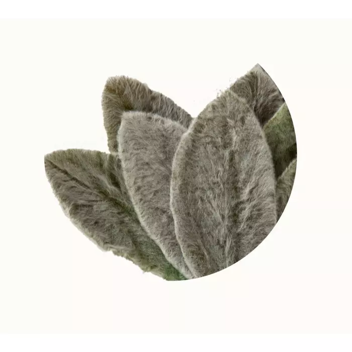 Стабилизированные бархатные листья Чистеца (Заячьи ушки)
