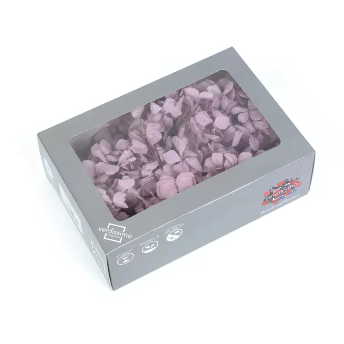 Гортензия стабилизированная "Lilac" (Premium)