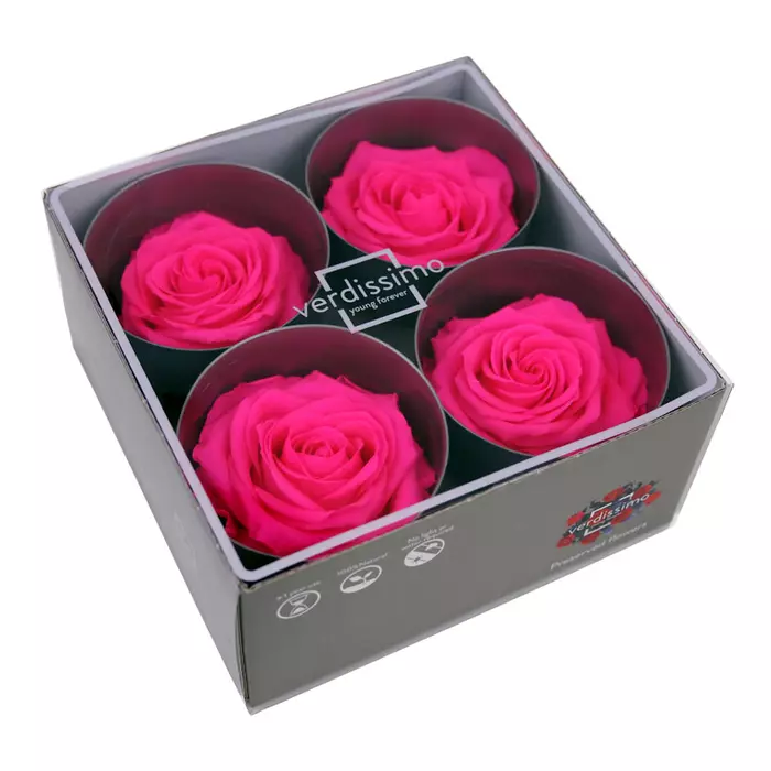 Бутоны розы "Bright Pink" (Premium)