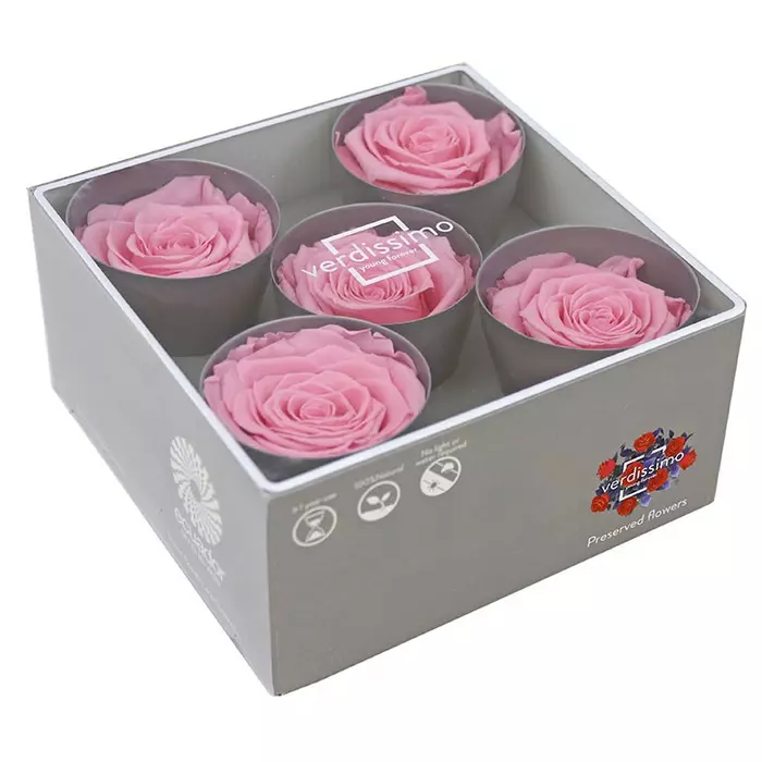 Стабилизированные бутоны розы "Pastel Pink" (Queen)