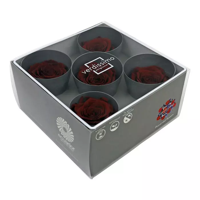 Стабилизированные бутоны розы "Burgundy" (Queen)