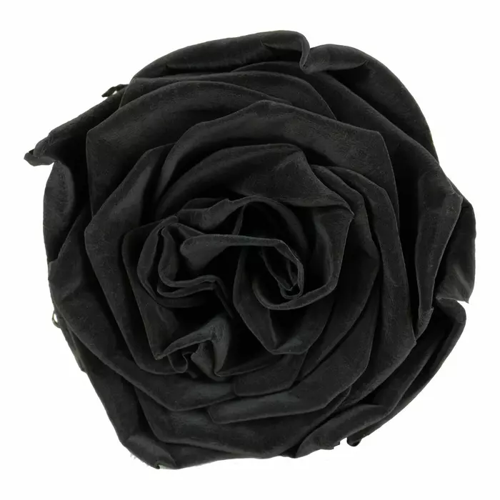Бутоны садовой розы "Black"