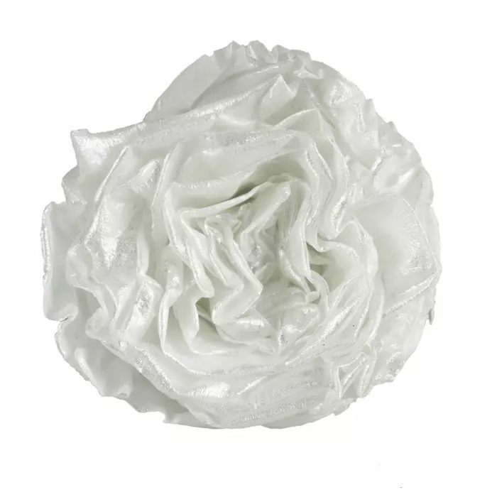 Бутоны розы садовой "White" с перламутром