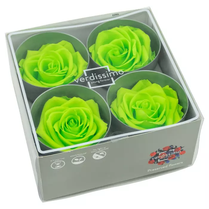 Бутоны розы "Lime Green" (Premium)