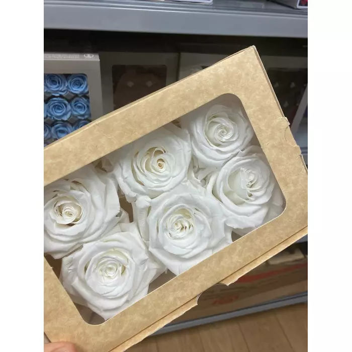 Бутоны розы "White" (XL)