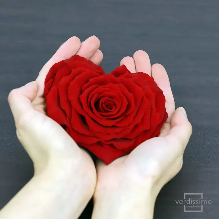 Стабилизированный бутон розы в форме сердца "Red"