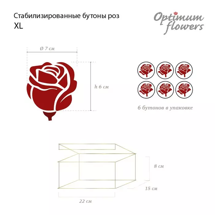 Бутоны розы "Red" (XL)